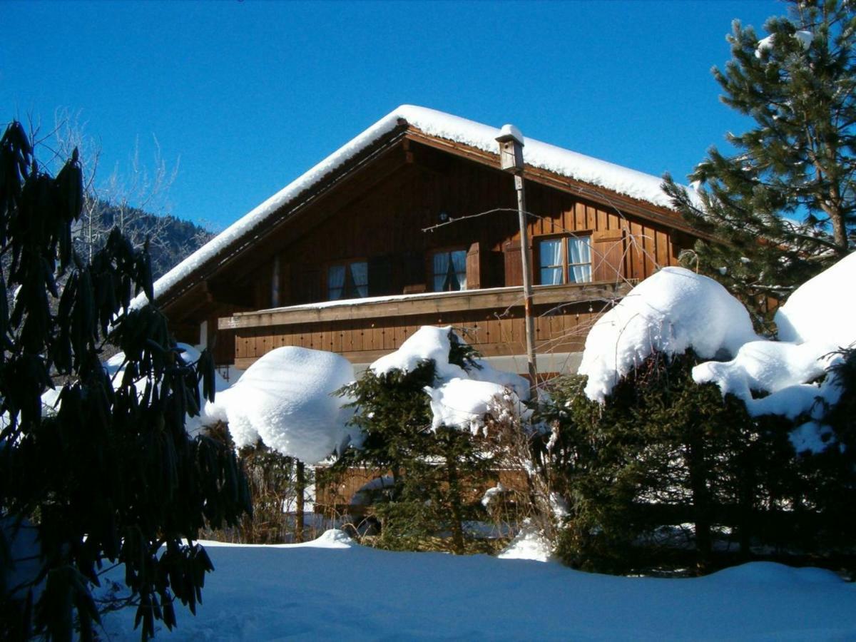 Appartement Haus Wippler à Bad Hindelang Extérieur photo
